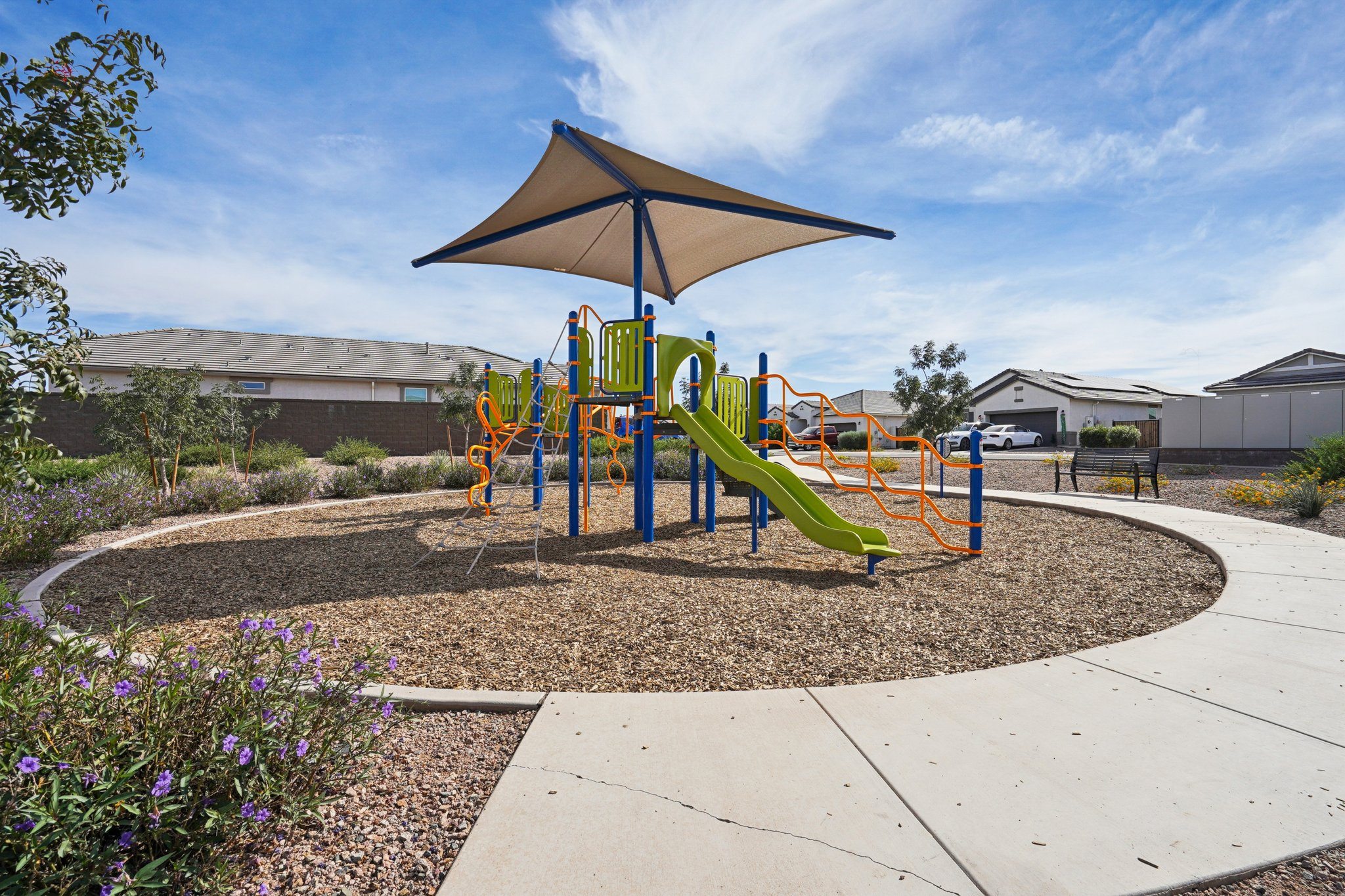 Solana Place at Carlton Commons photo 4
